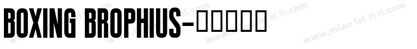 boxing brophius字体转换